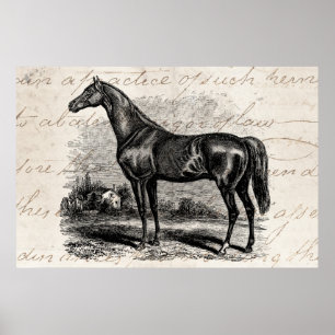 Vintage 1800s Tävling Horse Retro Thoroughborn Hor Poster