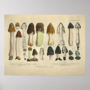 Vintage 1831 Brunt utskrift av Grönt för växlingss Poster