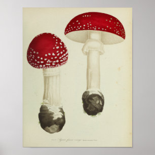 Vintage 1841 - Utskrift av röda versaler Poster