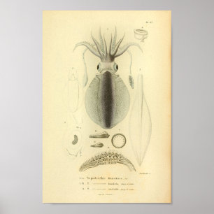 Vintage 1845 - Skriv ut med Färg- Poster