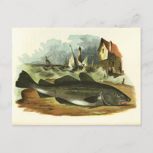 Vintage 1859 Kodfish FolkArt Illustration Vykort (Framsida)