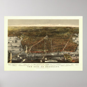 Vintage 1879 Brooklyn NY Birds Öga View Karta Poster
