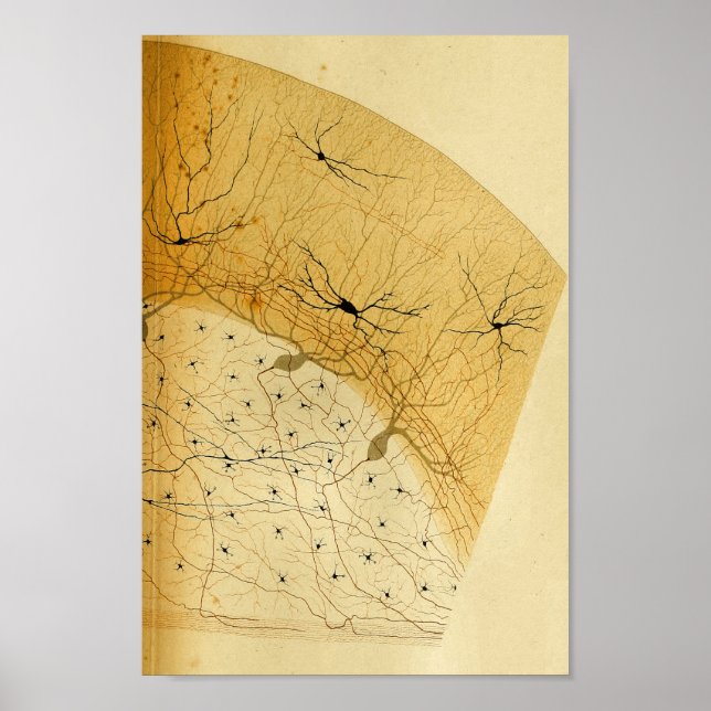 Vintage 1886 Centrala navigationssystemnerver Poster (Framsidan)