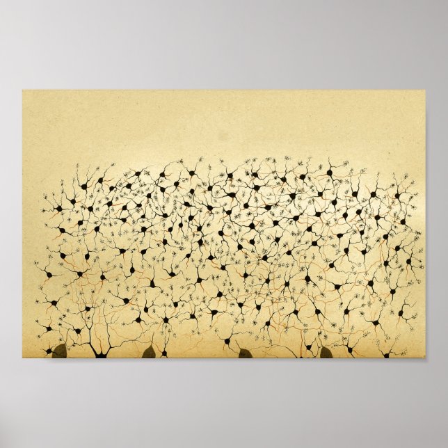 Vintage 1886 Centrala navigationssystemnerver Poster (Framsidan)