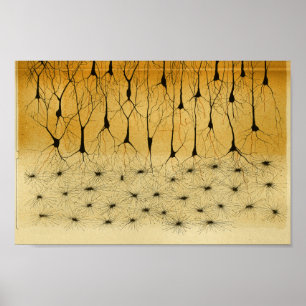 Vintage 1886 Centrala navigationssystemnerver Poster