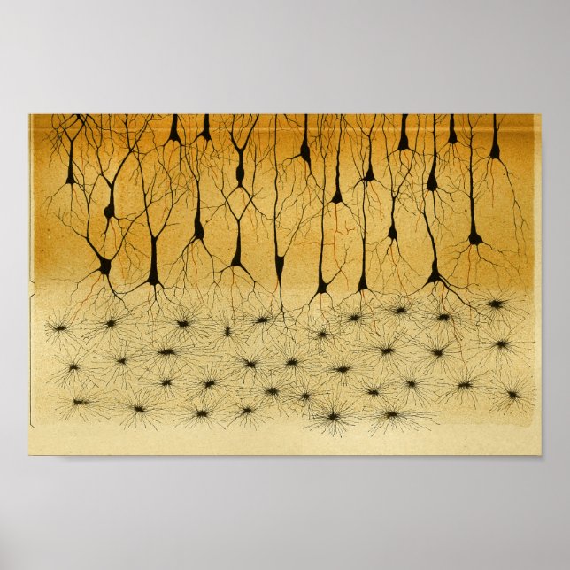 Vintage 1886 Centrala navigationssystemnerver Poster (Framsidan)