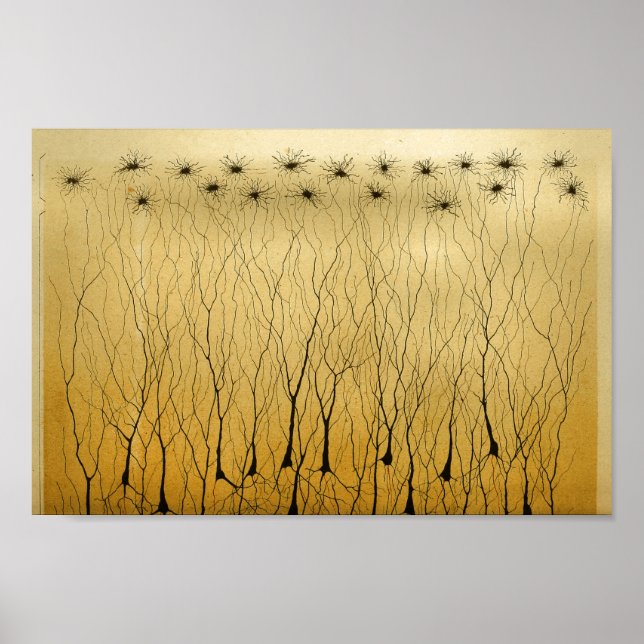 Vintage 1886 Centrala navigationssystemnerver Poster (Framsidan)