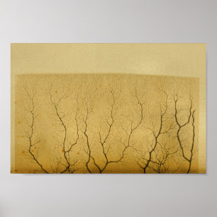 Vintage 1886 Centrala navigationssystemnerver Poster