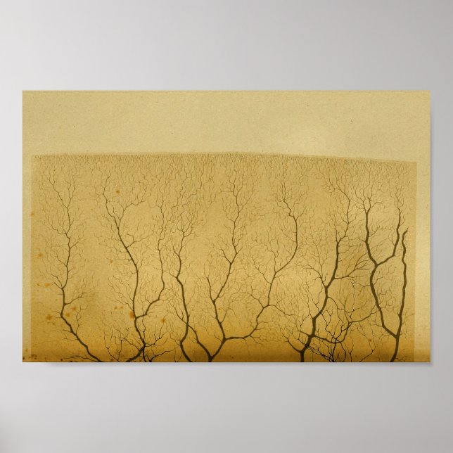 Vintage 1886 Centrala navigationssystemnerver Poster (Framsidan)