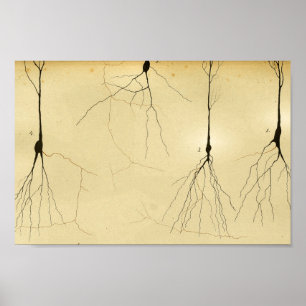 Vintage 1886 Centrala navigationssystemnerver Poster