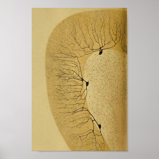 Vintage 1886 Centrala navigationssystemnerver Poster (Framsidan)