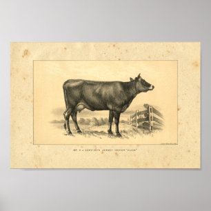 Vintage 1888 Jersey Cow-utskrift Poster