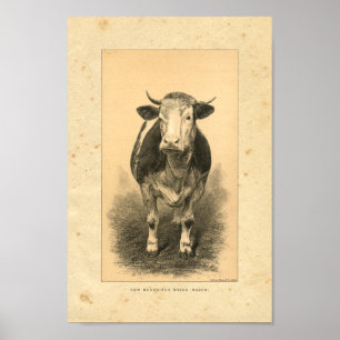 Vintage 1888 Kodutskrift Poster