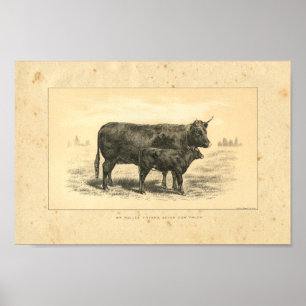 Vintage 1888 Kund med kalvutskrift Poster