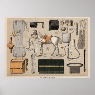  vintage (1890) poster