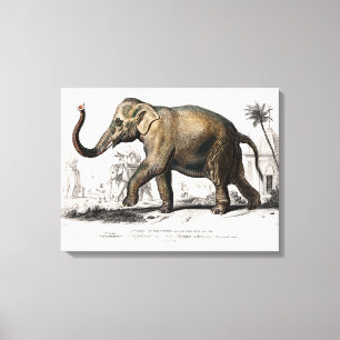 Vintage 1892 Asiatisk elefantillustration Canvastryck