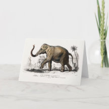 Vintage 1892 Asiatisk elefantillustration