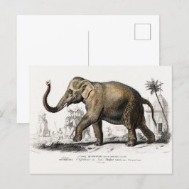 Vintage 1892 Asiatisk elefantillustration Vykort