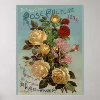 Vintage 1894 Kulturguide till Ro Poster