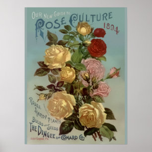 Vintage 1894 vägleder till rokultur poster