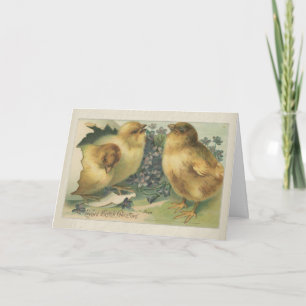 Vintage 1898 Baby Chick Påsk Kort