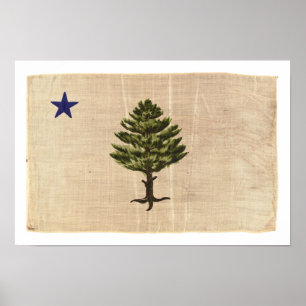 Vintage 1901 Maine Flagga Print (stor) Poster