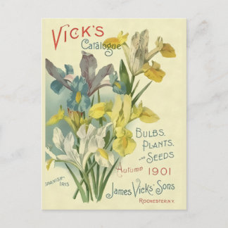 Vintage 1901 Vick's Seed & Plant Catalog Vykort