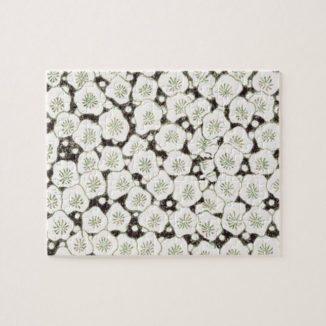 Vintage 1902 Japansk Blomma: Svart Vit Blomning  Pussel (Horisontell)