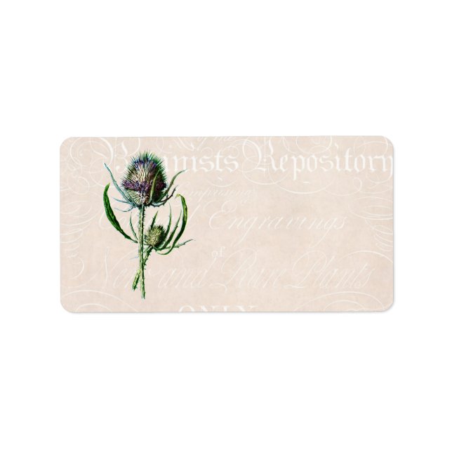 Vintage 1902 Scottish Thistle Old Vild Flower Adressetikett (Framsidan)