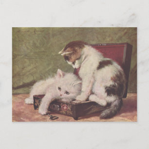 Vintage 1907 Illustration of Kittens Spela Vykort