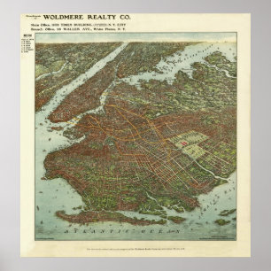Vintage 1908 Brooklyn NY Birds Öga View Karta Poster