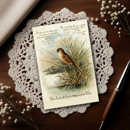 Vintage 1908 Christmas Bird Greeting Vykort