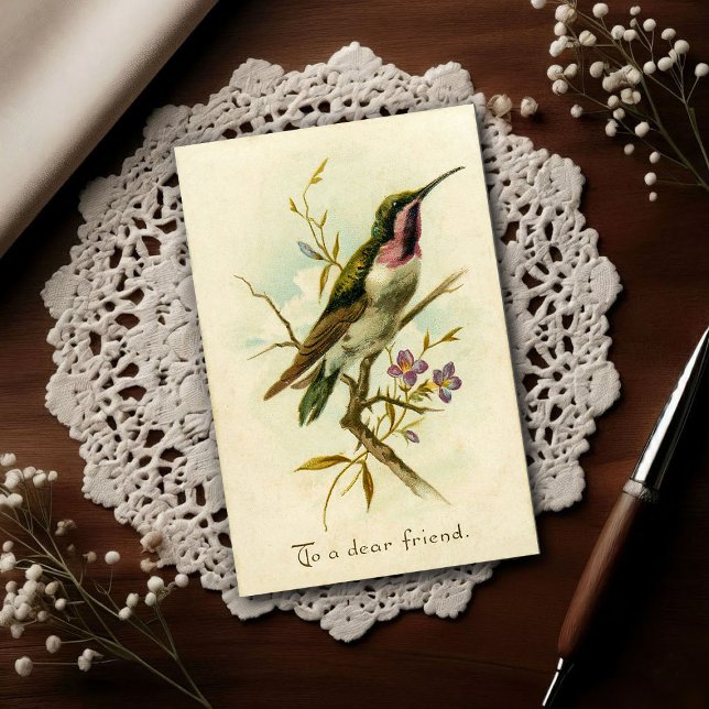 Vintage 1908 Mexican Star Hummingbird Friendship  Vykort (Skapare uppladdad)