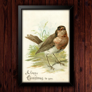 Vintage 1908: Robin Bird-julen i Hälsning Poster