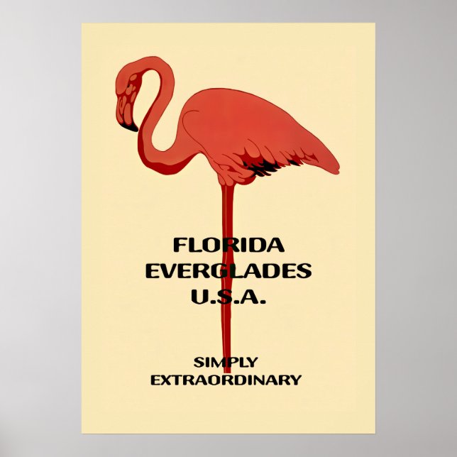 Vintage 20x28 Florida Flamingo Affisch (Framsidan)