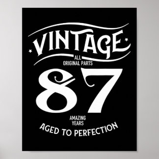 Vintage 87 fantastiska år rolig 87-årsdag perfekt poster