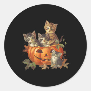 Vintage 90s Kat Retro Pumpkin Kittens Halloween Ca Runt Klistermärke