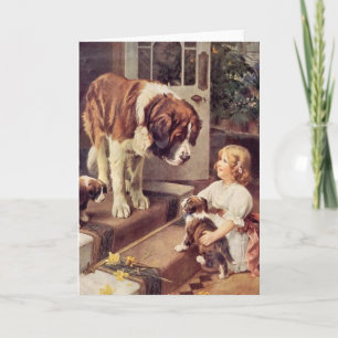 Vintage - A Girl & Her Saint Bernard Hundar, Kort