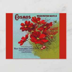 Vintage Advertising Cosmos Washington Fruktetikett Helg Vykort