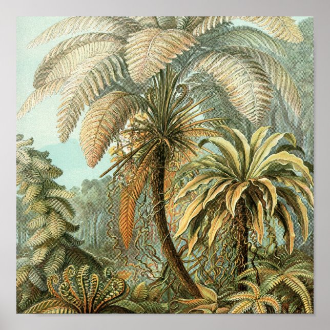 Vintage affisch (Framsidan)