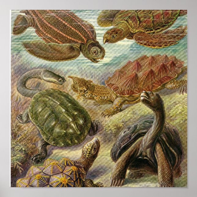 Vintage affisch (Framsidan)