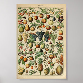 Vintage affisch Adolphe_Millot_fruits-pour_tous