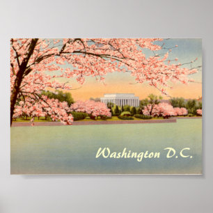 Vintage affisch Washington DC