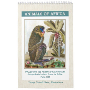 Vintage African Animals Illustrations 2026 Kalender