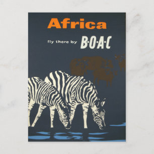 Vintage Afrika Zebra Wildlife Travel Vykort