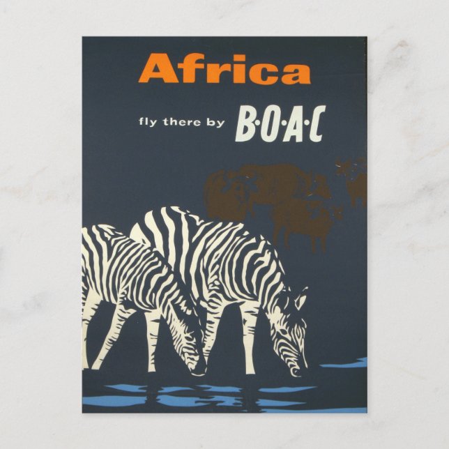Vintage Afrika Zebra Wildlife Travel Vykort (Framsida)