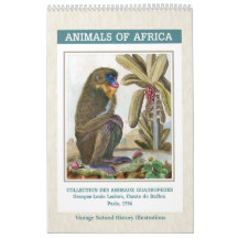Vintage Afrikanska Djur Illustrationer 2027