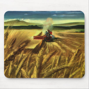 Vintage Agricultural Farm Business, Wheat Farming Musmatta