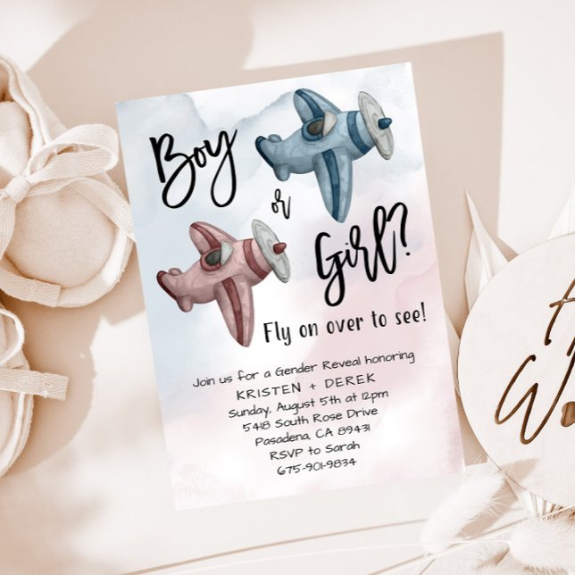 Vintage Airplane Gender Reveal Party Inbjudningar (Skapare uppladdad)