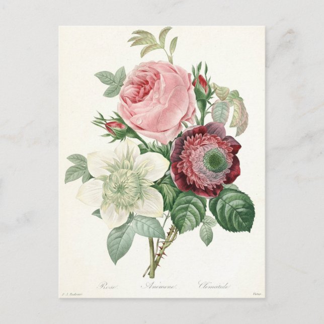 Vintage akvarell Ros Anemon Bouquet  Vykort (Framsida)